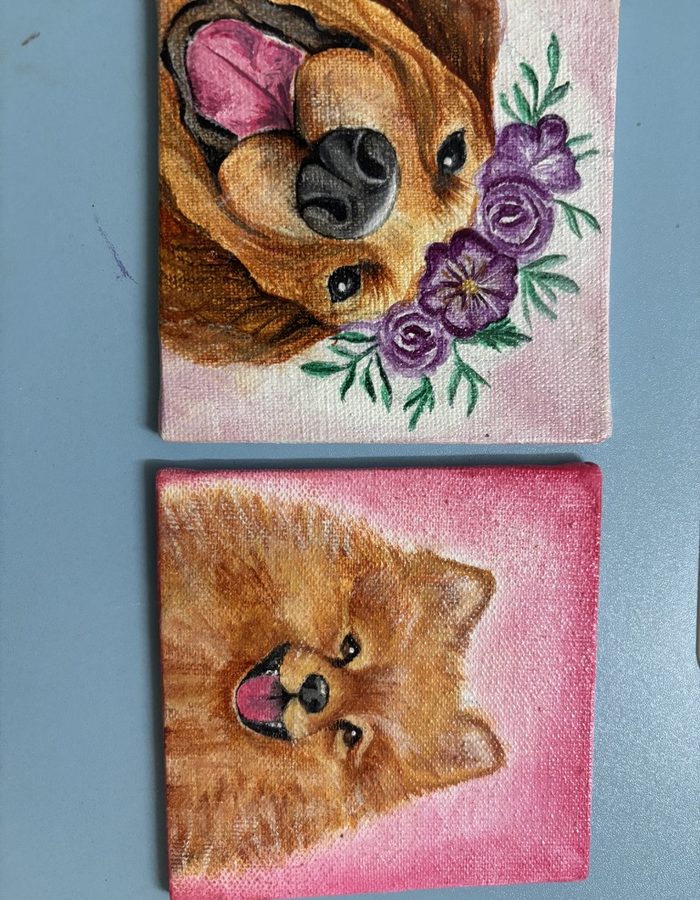 Two paintings of a Pomeranian on pink canvas