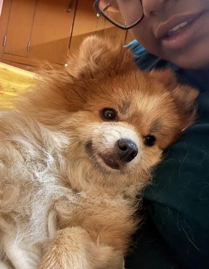 Candy snuggled up close