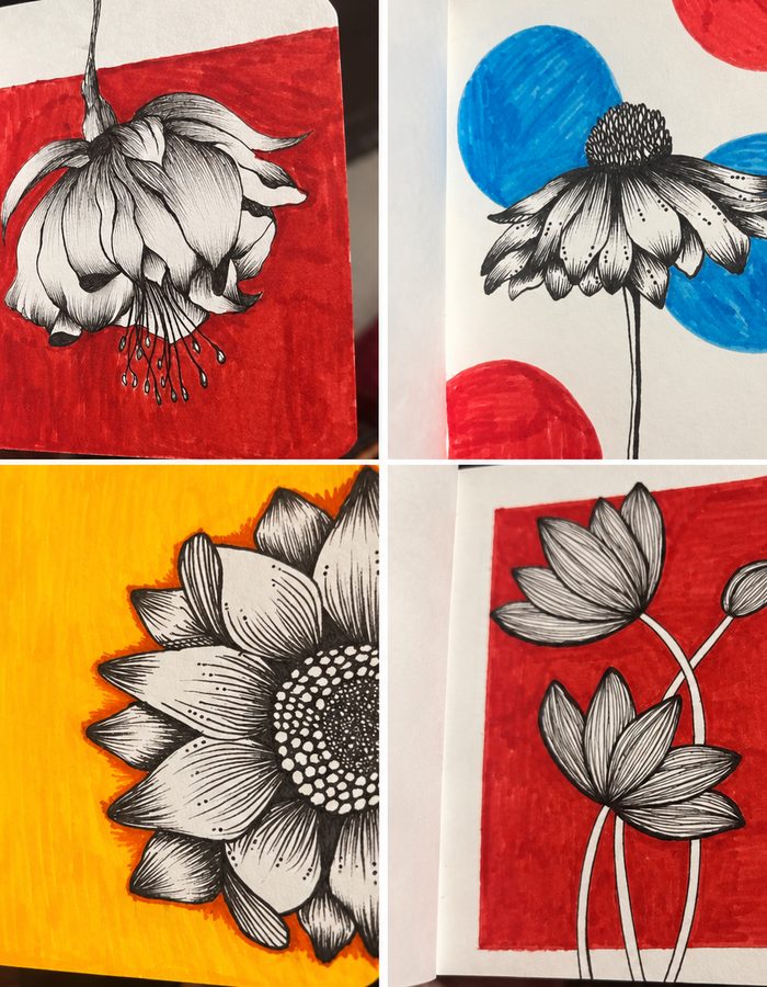 Four ink flower drawings on bold coloured paper